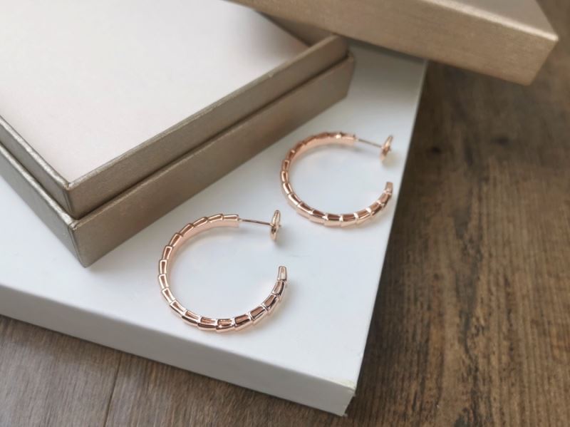 Bv1g*ai earrings